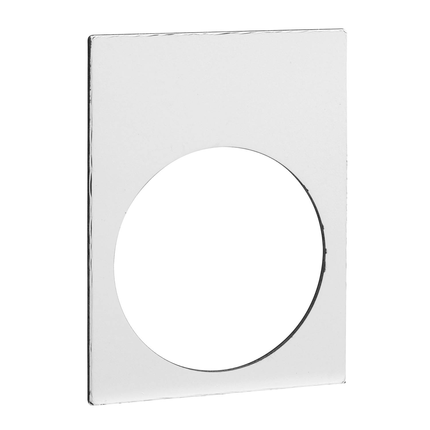 3389110146172 - GS Sonderschild 30x40mm weiss ZB2BY4001 Schrift schwarz Druck variabel