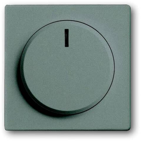 BJ Zentralscheibe f. 6540-803-102 Drehdimmer