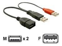 DELOCK USB Y-Kabel A -> 2x A Bu/St 0.225m - 65306