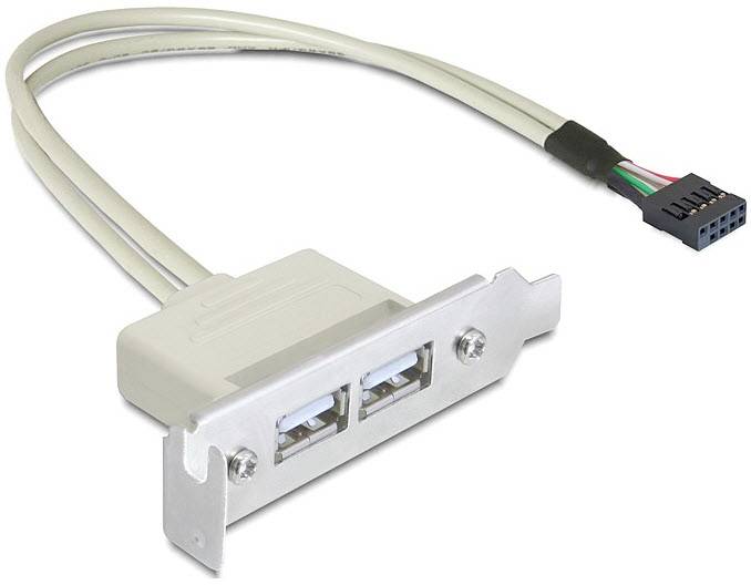 DELOCK Slotblech 2x USB A - 83119