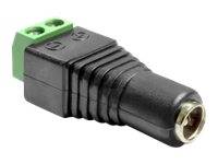 DELOCK Adapter Terminalblock 2Pin -> DC 2,5 x 5,5mm Buchse