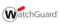 WatchGuard IPSec VPN 10 Client License for Windows - WG019972