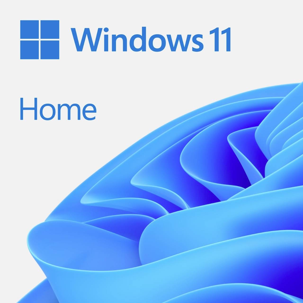 Windows 11 Home 64Bit DSP 1pk Englisch DVD - KW9-00632