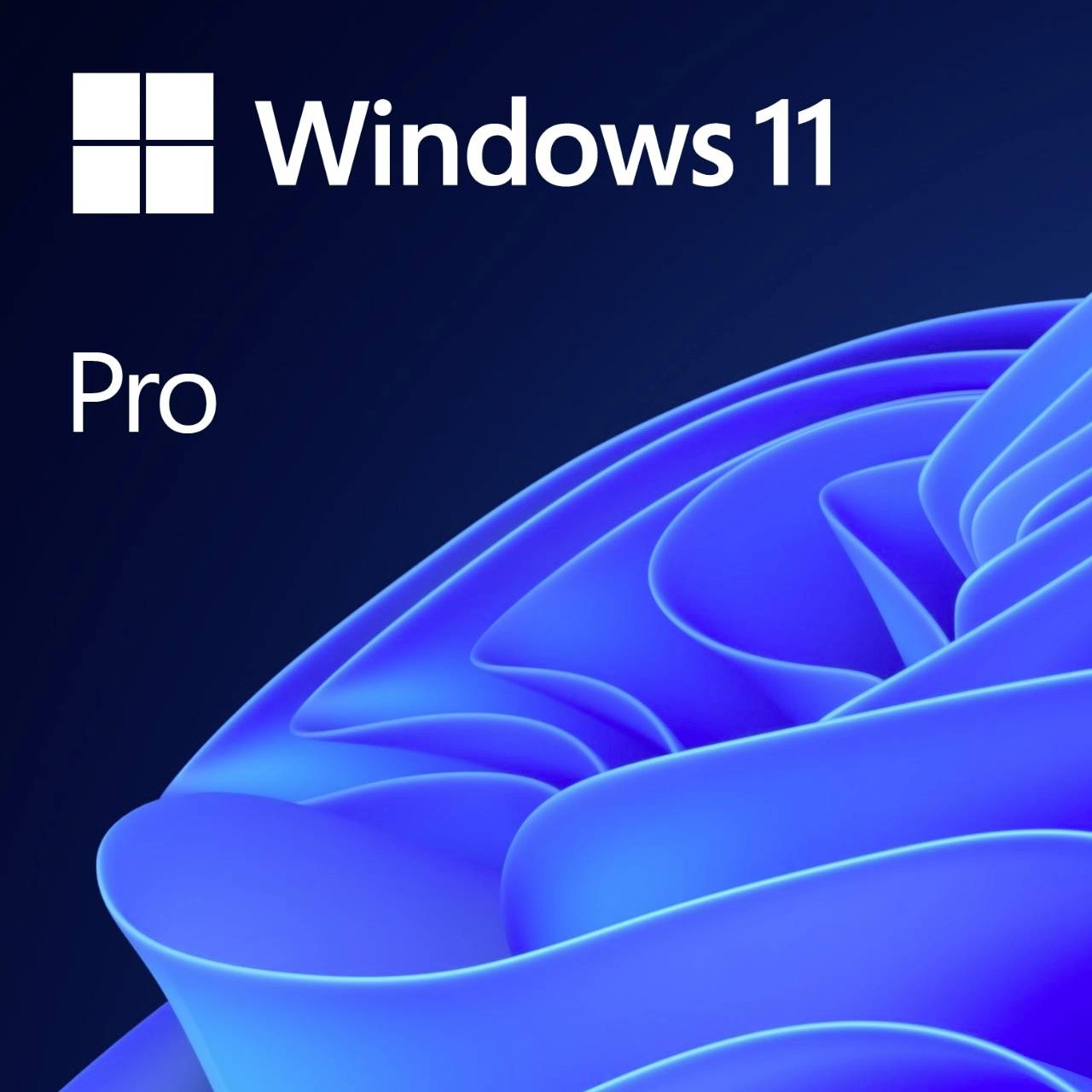 Windows 11 Pro 64Bit DSP 1pk Deutsch DVD - FQC-10534