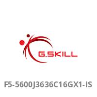 DDR5 16GB PC 5600 CL36 G.Skill (1x16GB) 16-GX1-IS Aegis - F5-5600J3636C16GX1-IS